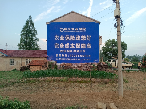 隆林墙体广告为何受追捧?