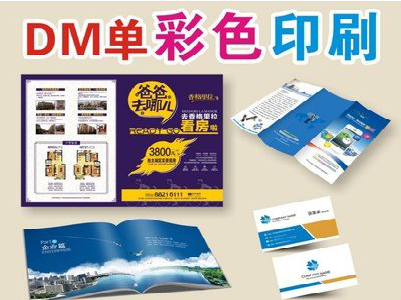 隆林单页印刷，色彩搭配简单。